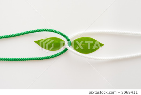 Konoha and rope Konoha and rope 5069411