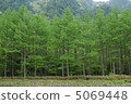 Kamikochi, fresh green 5069448