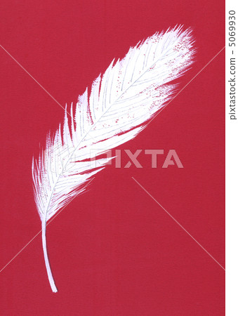 羽紅色回來 5069930