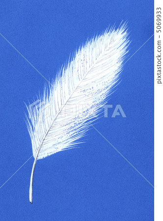 Feather blue back 5069933