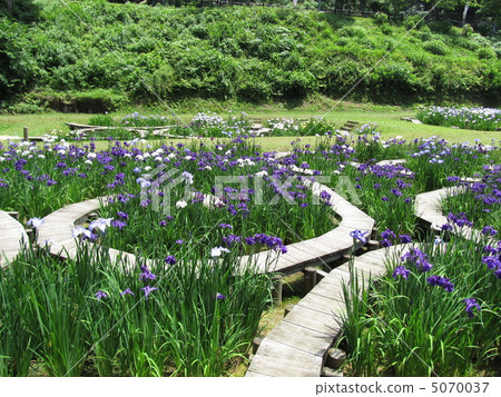 Prefectural People Park Trust Forest 5070037