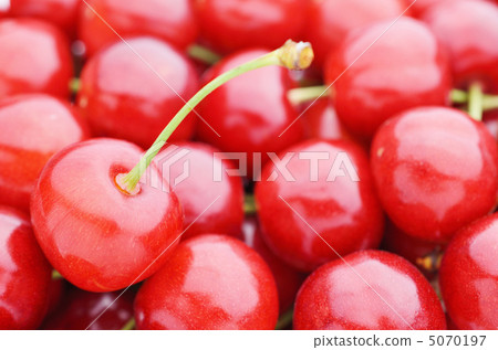 Lots of cherries Lots of cherries 5070197
