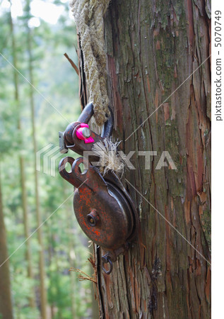 Pulley for removing wood Pulley for removing wood 5070749