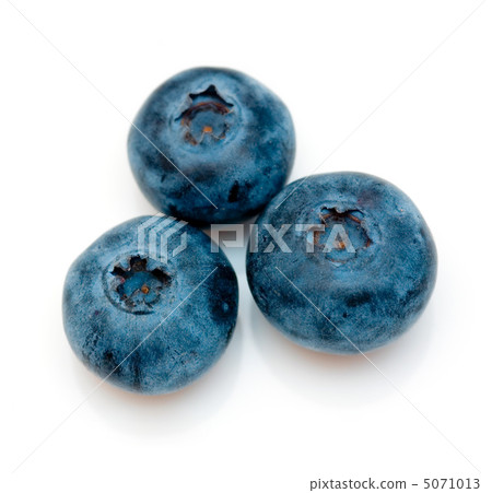 Blueberry 5071013