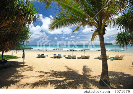 Beach Beach 5071979