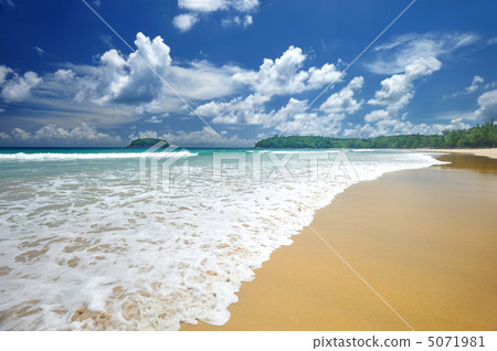 Beach 5071981