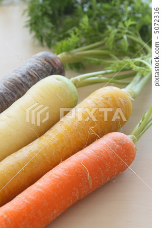 Vegetable carroful 5072316