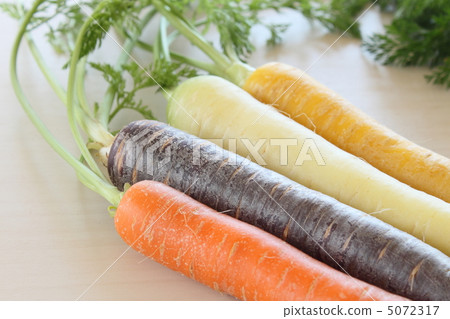 蔬菜carroful 蔬菜carroful 5072317