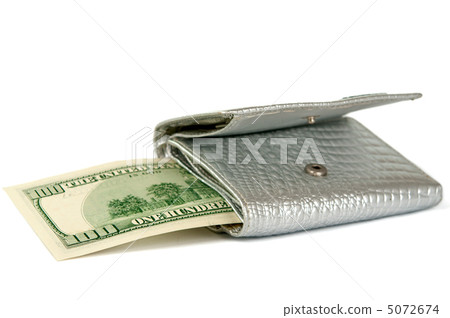 dollars with a purse isolated dollars with a purse isolated 5072674