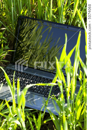 laptop in green grass laptop in green grass 5074068