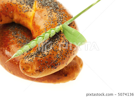 roll with poppy and the spike isolated on white roll with poppy and the spike isolated on white 5074136