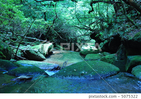 Shiratani Yunizu Gorge 5075322