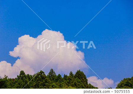 Blue sky and forest 5075555