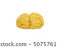 Clay-crafted brain 5075761