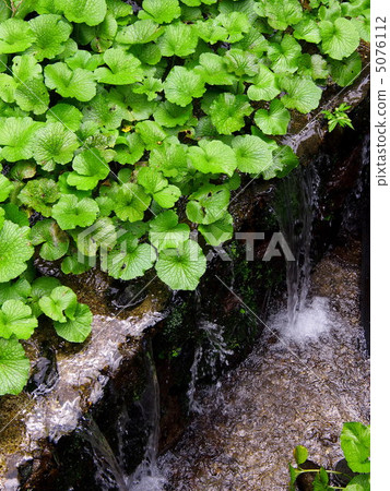 Ranba mountain Aoyagi 5076112