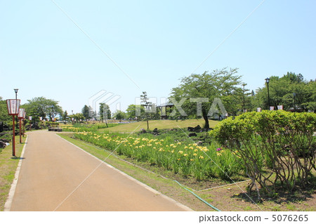 Ayame Festival 5076265