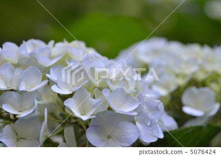 Akira Taki in return 5076424