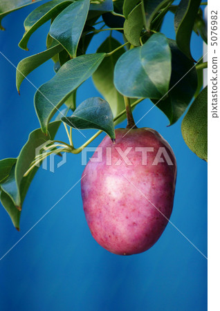 Very big Ikuko Mube Very big Ikuko Mube 5076982