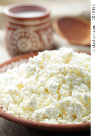 Cottage cheese 5078486