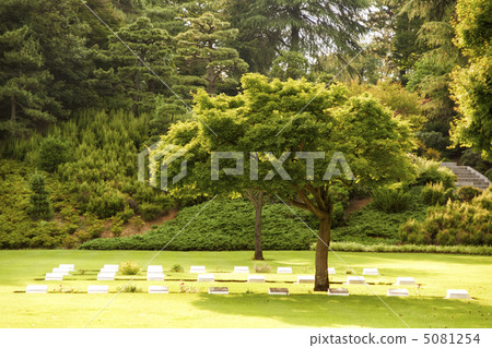 Commonwealth battlefield cemetery 2 5081254