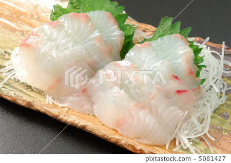 美味的比目魚創作 5081427