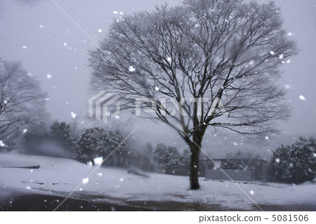 雪化妝 5081506