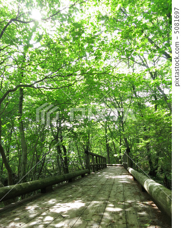 自然研究路徑 5081697