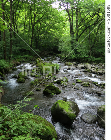 栃木縣Nakhinzawa春天的春天 5081699