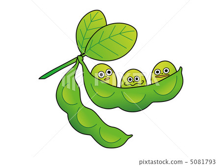 Edamame Edamame 5081793