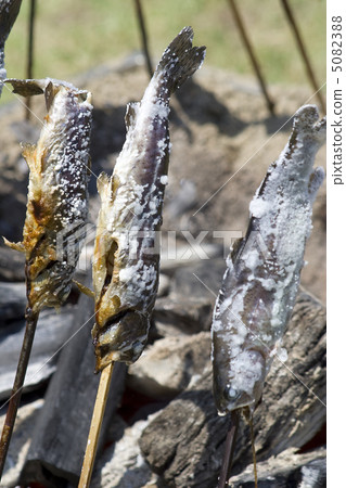 Rainbow trout 002 Rainbow trout 002 5082388