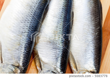 Fresh fishes on board 5083778