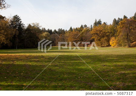 meadow in the autumn forest meadow in the autumn forest 5087317