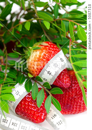 big juicy red ripe strawberries,herb and measure tape isolated o big juicy red ripe strawberries,herb and measure tape isolated o 5087318