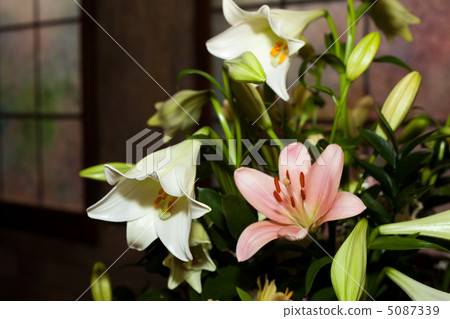 beautiful bouquet of flowers in a vase 5087339