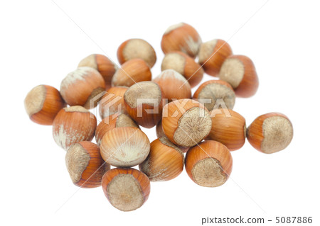 hazelnuts isolated on white 5087886