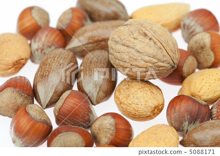 background of various kinds of nuts background of various kinds of nuts 5088171