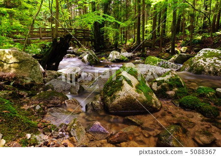 初夏的瀧川谷 初夏的瀧川谷 5088367