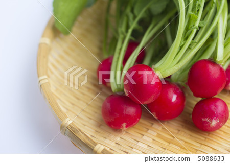 Fresh red turnip at home garden Fresh red turnip at home garden 5088633