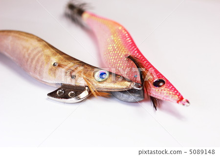 釣魚誘餌 5089148