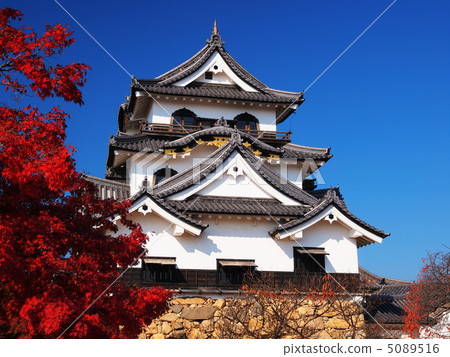 秋葉Hikone城堡 5089516