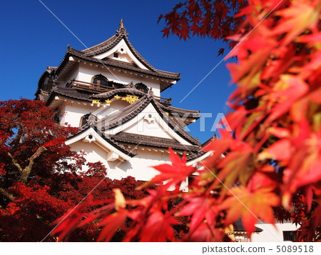 秋葉Hikone城堡 5089518
