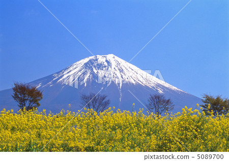 山腳染黃了 5089700