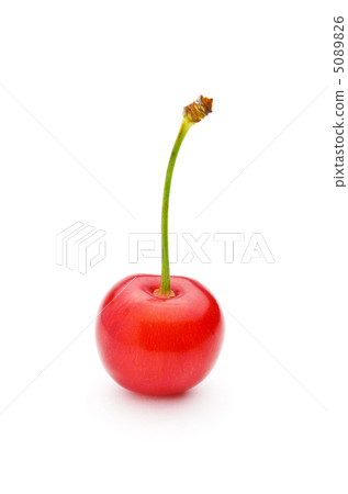 One cherry tree 5089826