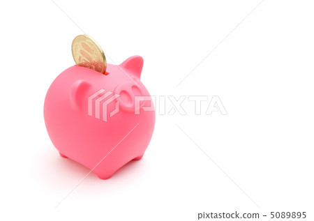 Pig's piggy bank 500 yen 5089895