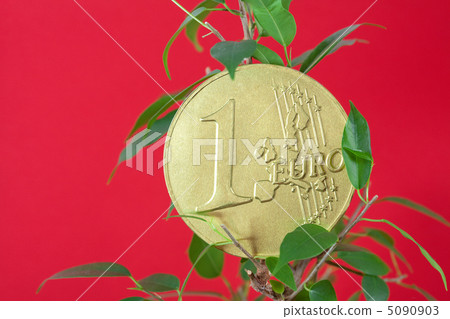 ficus and one euro coin on a red background ficus and one euro coin on a red background 5090903