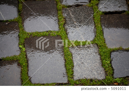 Background from the wet pavement with grass Background from the wet pavement with grass 5091011