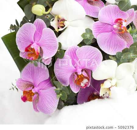 Beautiful bridal bouquet lying on the white snow 5092376
