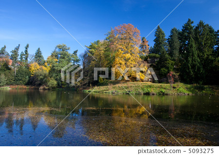beautiful autumn landscape with colorful trees and a pond beautiful autumn landscape with colorful trees and a pond 5093275