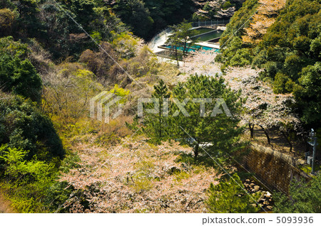 Nishiarita Nishiarita 5093936