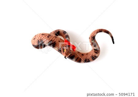 A snake 5094171